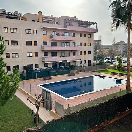Girasoles 1 Salou